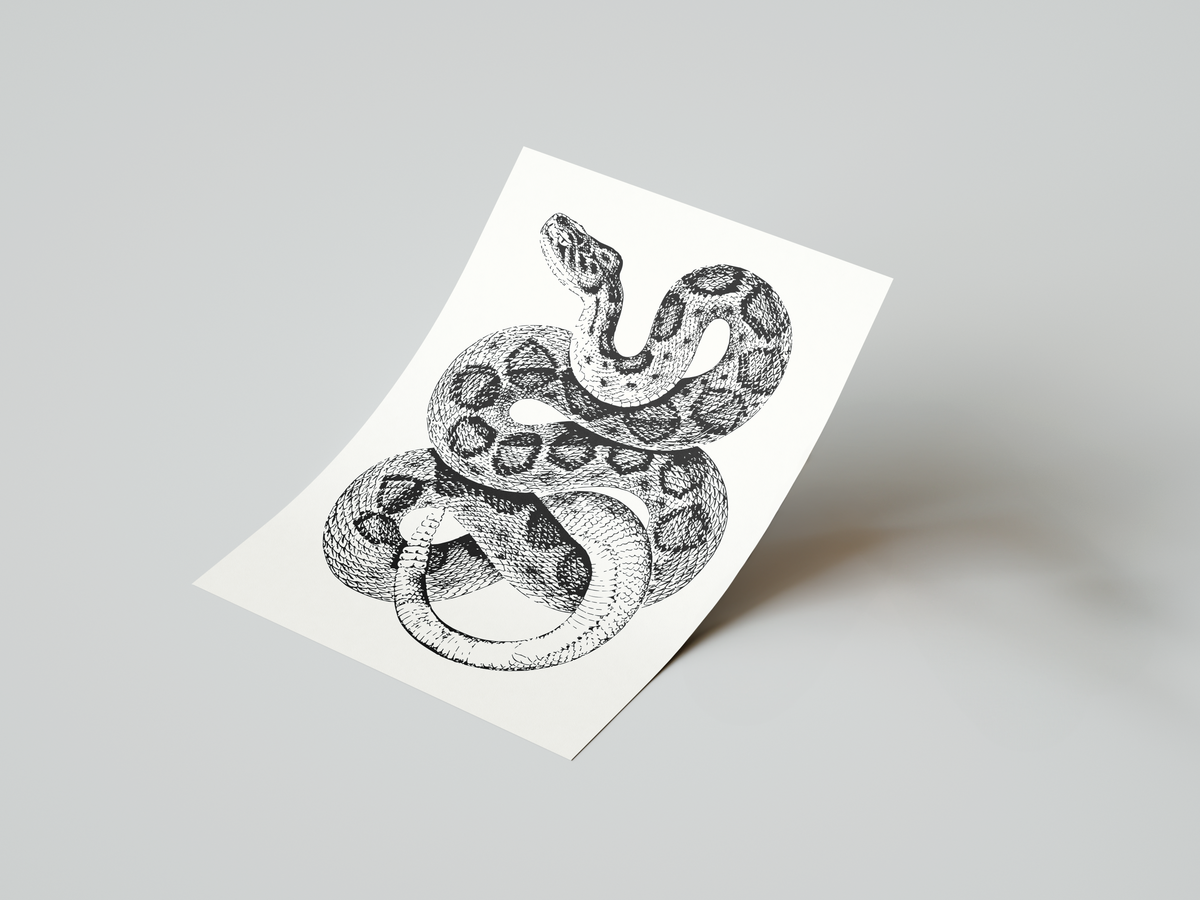 SSSNAKE Art Print