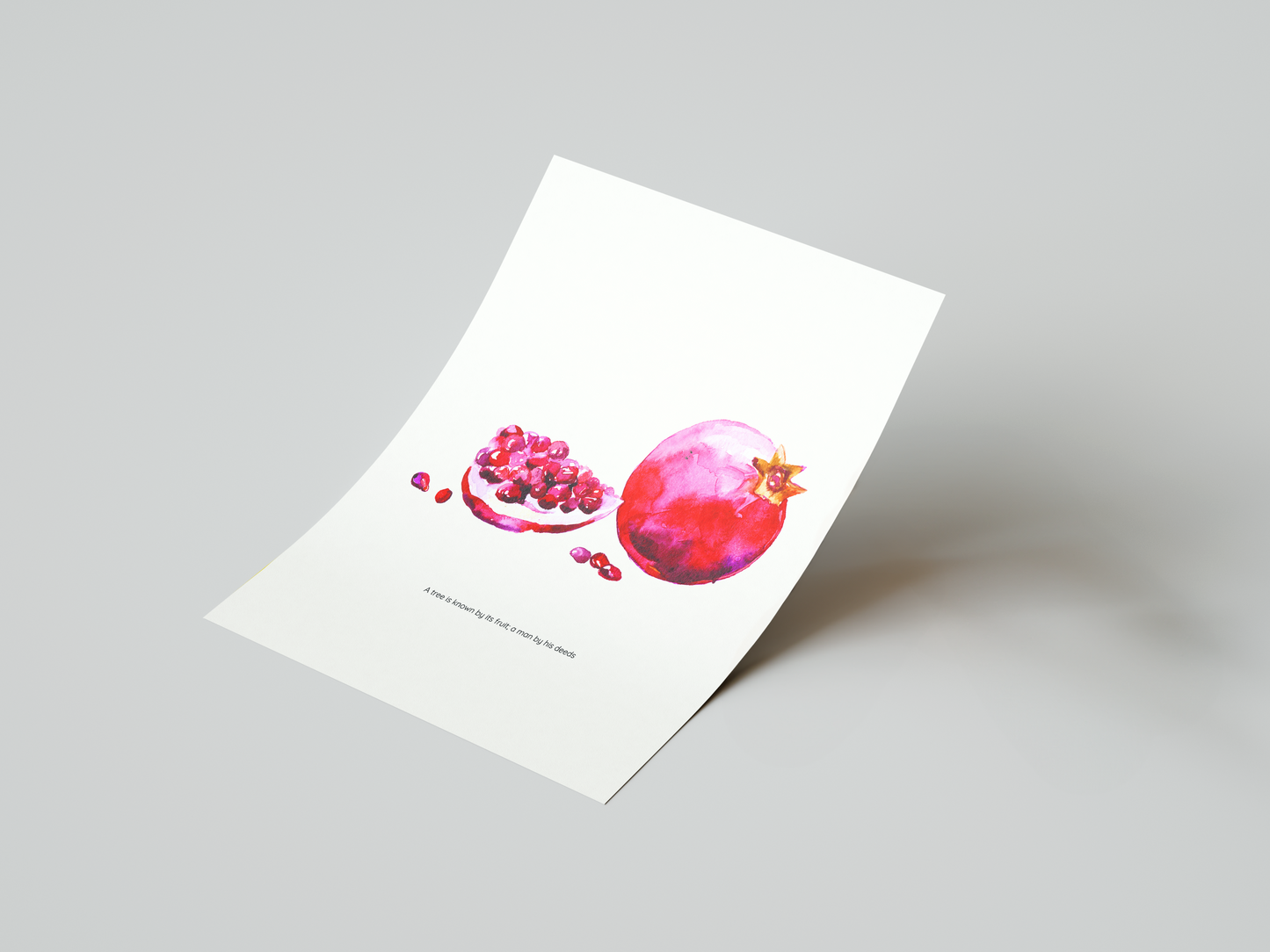 Pomegranate Art Print