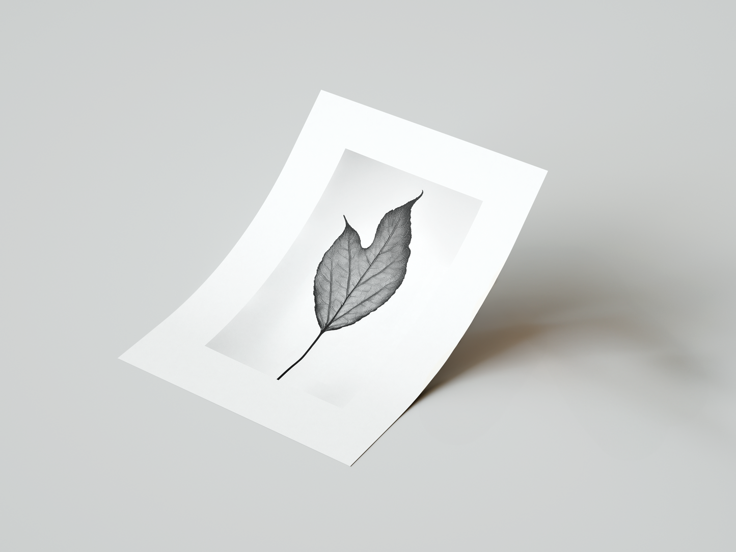 Natural Essence: Monochrome Leaf Art Print