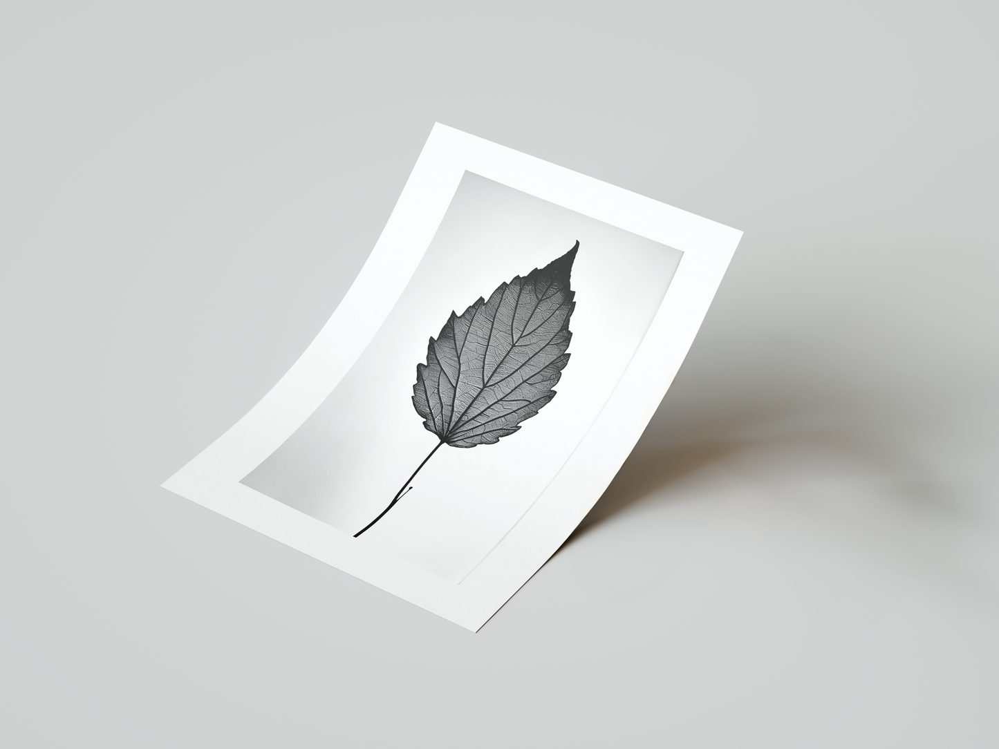 Natural Essence: Monochrome Leaf Art Print 2