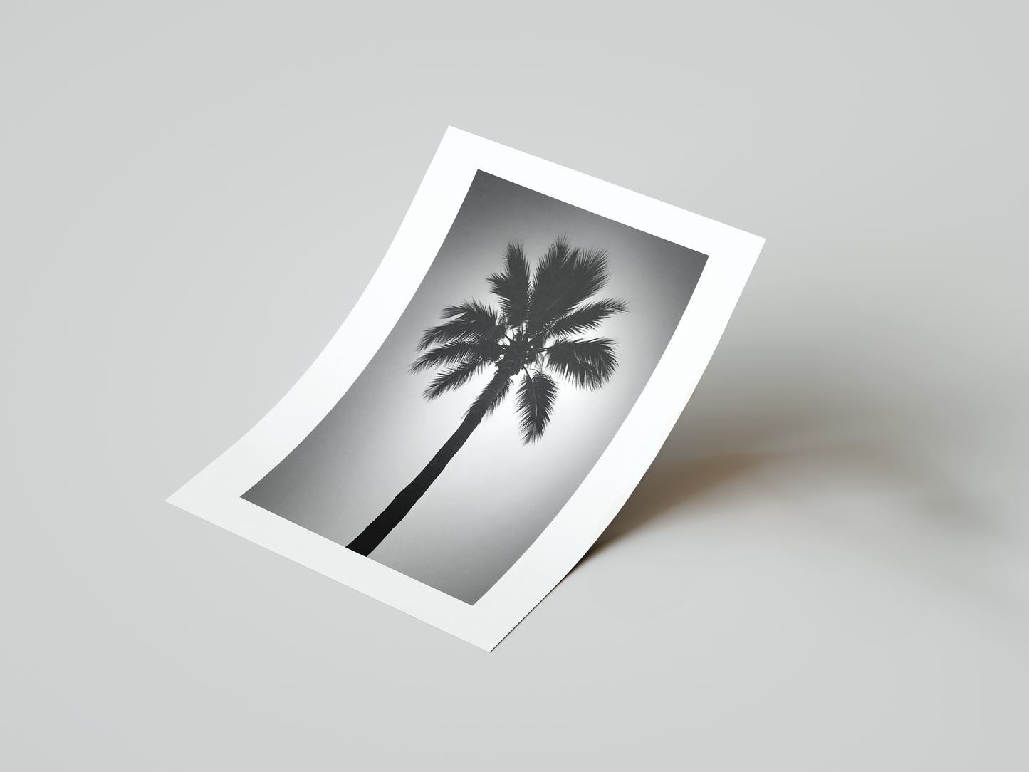 Palm Tree Art Print