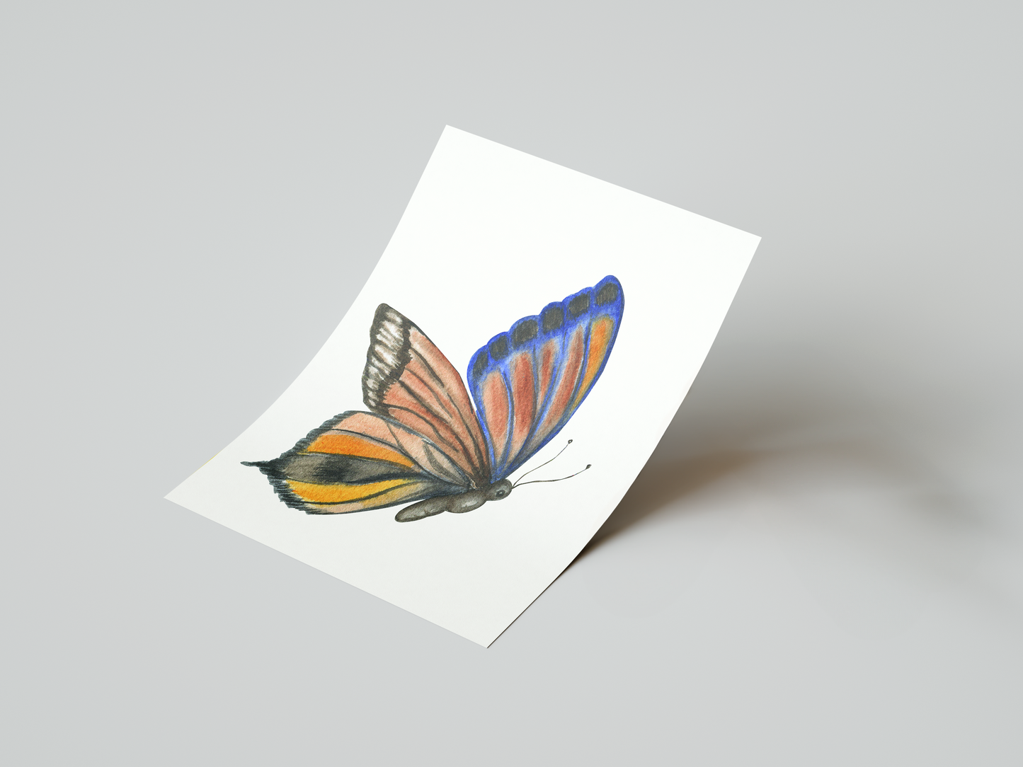 Delicate Wings Art Print 2