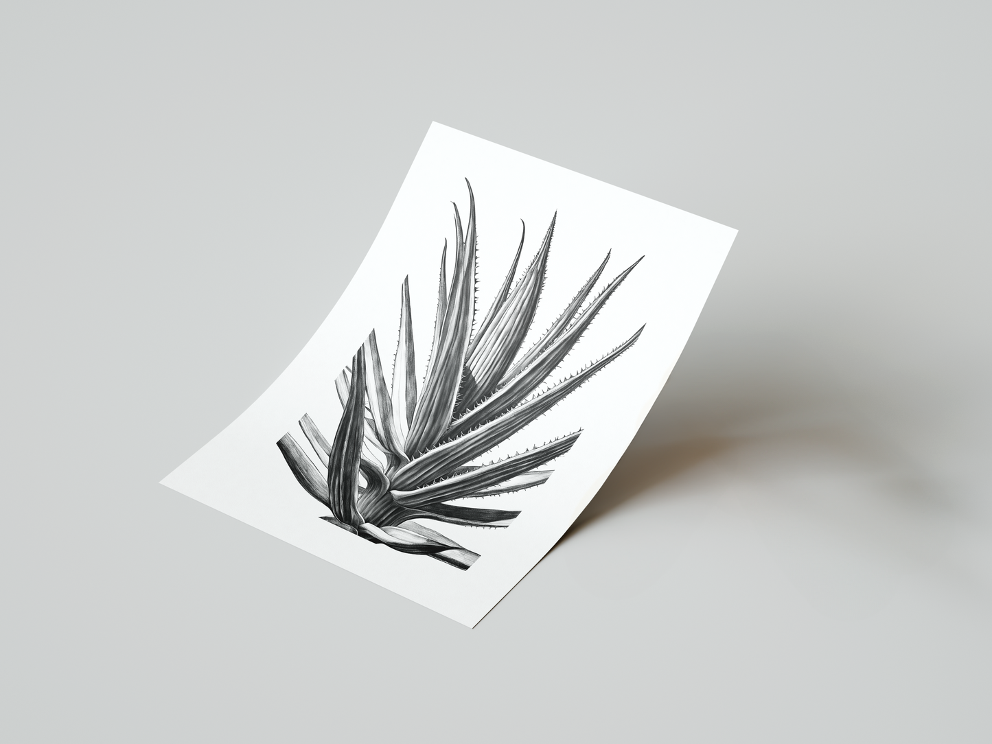 Monochrome Agave Botanical Art Print