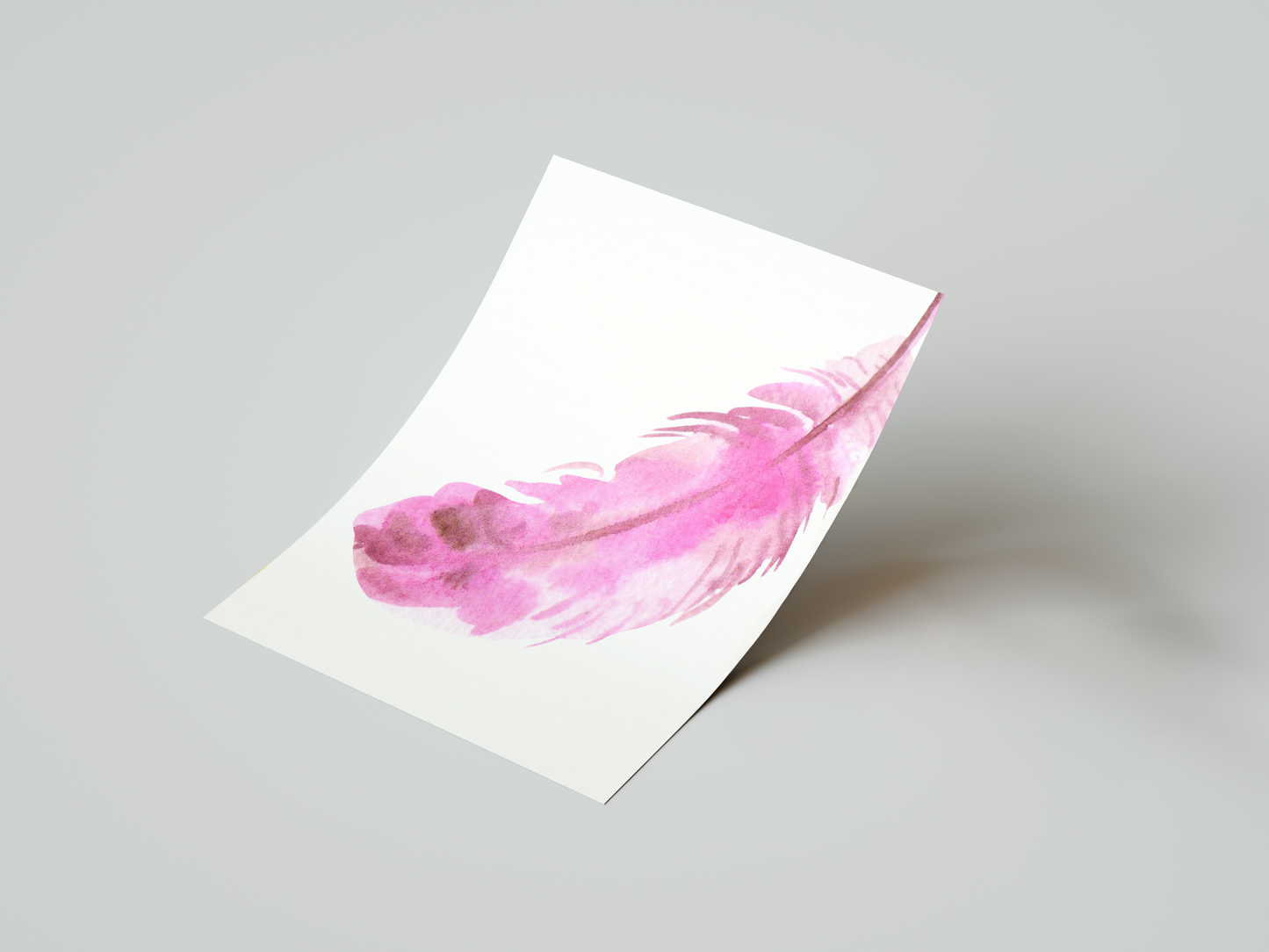 Blush Feather Art Print