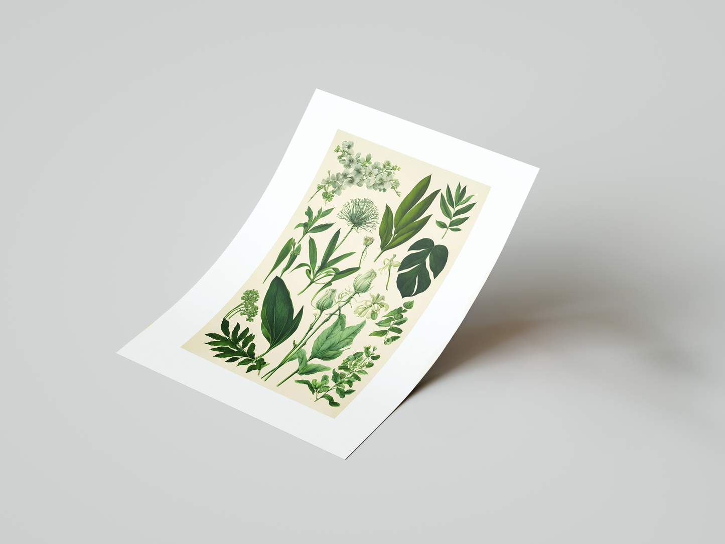 Botanical Wonders Art Print