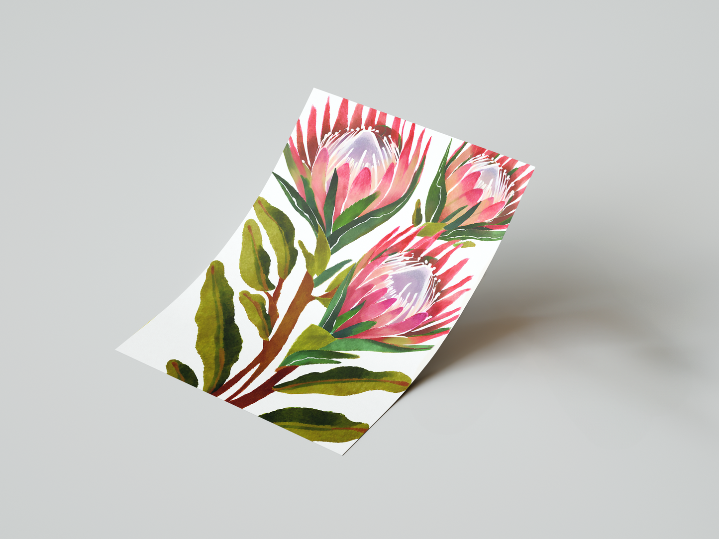 Protea Bloom Art Print