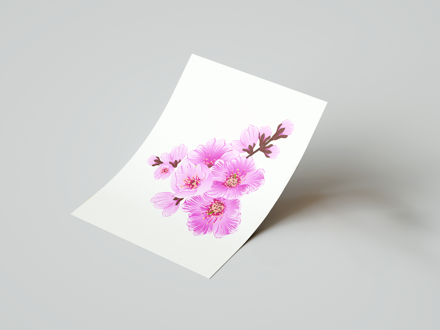 Cherry Blossom Art Print