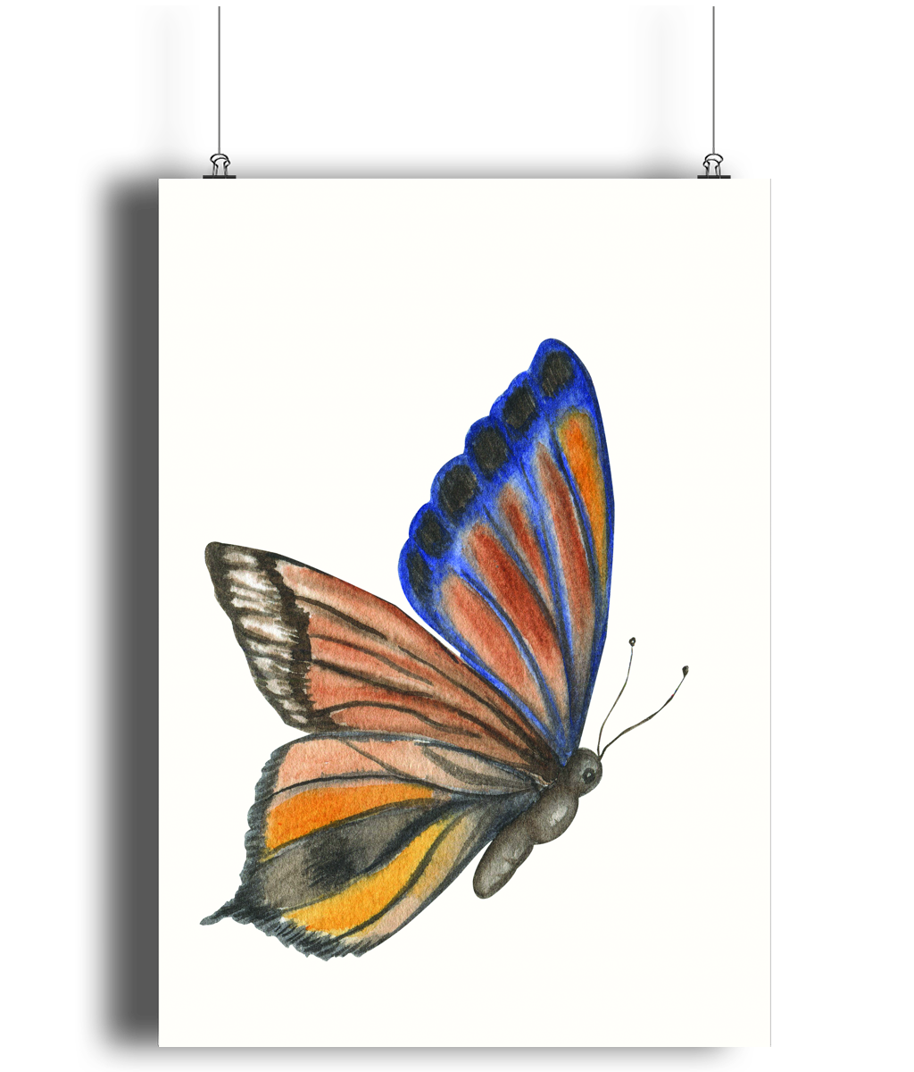 Delicate Wings Art Print 2